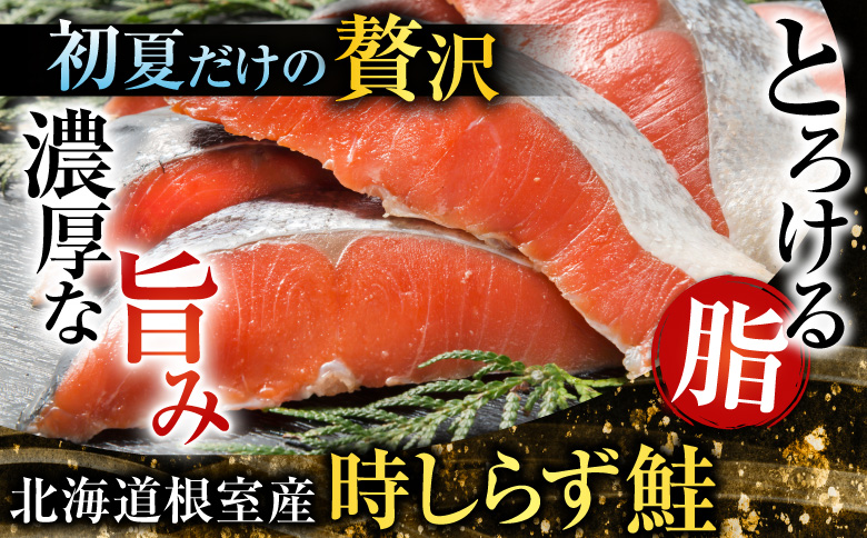 【北海道根室産】時しらず鮭600g×1P・いくら醤油漬け50g×2P B-42106