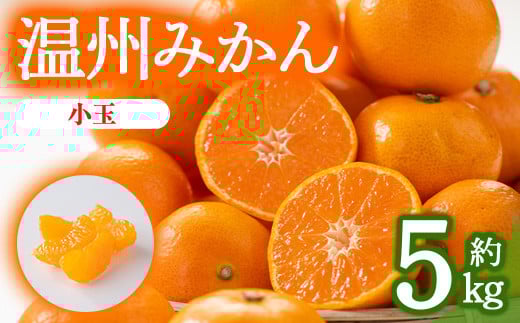＜期間限定！2025年10月上旬以降順次発送予定＞＜選べるサイズ＞香川県産 温州みかん(約5kg/小玉) 【man078・man119】【Aglio nero】