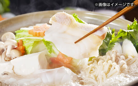 壱岐産　幻天然クエ　丸ごと１本　3㎏～5㎏《壱岐市》 【みやげ処 縁由】[JBJ014]