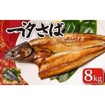 ふるさと納税 銚子市 一汐さば　8kg