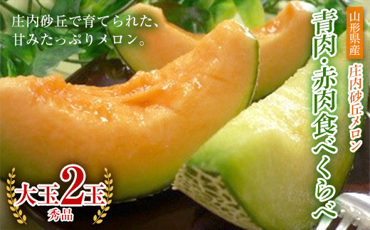 《先行予約 令和7年度産》庄内砂丘メロン青肉・赤肉食べくらべ 大玉 秀品 2玉 FSY-0190