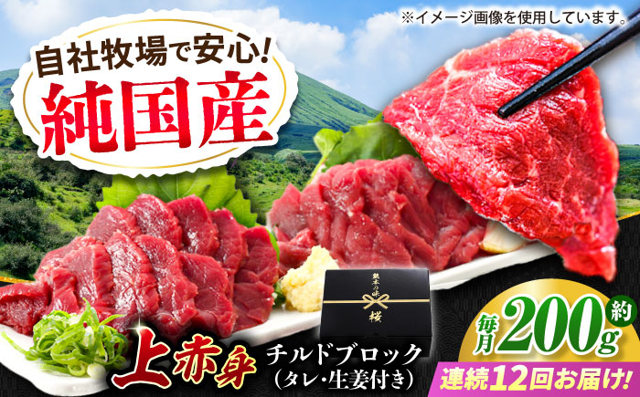 
            【全12回定期便】『純国産』熊本の味 上赤身 馬刺し 約200g ブロック チルド 冷蔵 タレ付き【有限会社 九州食肉産業】 [AYCN041]
          