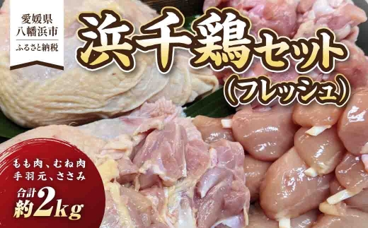 浜千鶏セット(フレッシュ)＜C29-1＞_鶏肉 とりにく とり肉 鳥肉 モモ肉 むね肉 手羽元 ささみ ササミ セット 食べ比べ 冷蔵 産地直送 国産 産直 愛媛 人気 小分け 料理 調理 BBQ おかず おつまみ 【1487890】 YWTD001