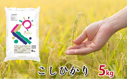 
【令和5年産】静岡県産米『こしひかり』精米5kg [№5786-3868]
