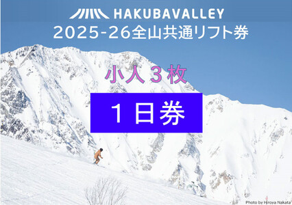 2025-2026 Hakuba Valley 全山共通1日リフト券 小人3枚