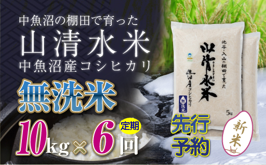 【新米先行受付】【定期便／全6回】無洗米10kg　新潟県魚沼産コシヒカリ「山清水米」