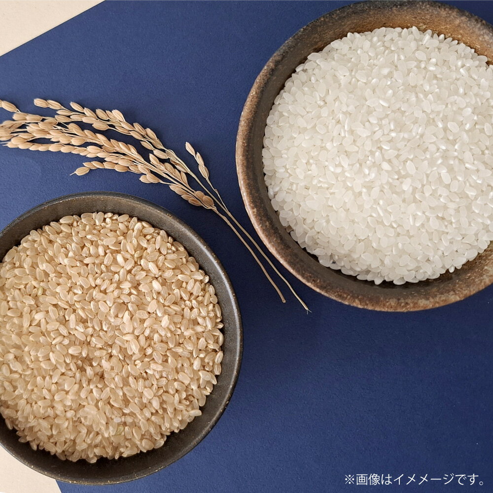 【ふるさと納税】令和7年 特別栽培米ヒノヒカリ 10kg 20kg 選べる 種類 容量 精米 玄米 ご飯 お米 白米 熊本県産 あさぎり町 送料無料 【2025年10月上旬～12月下旬迄発送予定】