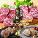 【ふるさと納税】ロール ステーキ 豊後牛 桜王豚 10枚 800g セット ロールステーキ 牛肉 豚肉 ソース付き 柔らか 小分け パック 弁当 おかず おつまみ 食べ比べ 贈答 ギフト 家庭用 お取り寄せ グルメ ビーフ ポーク お土産 送料無料