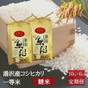 【ふるさと納税】令和6年産 【精米10kg（5kg×2袋）6ヶ月定期便】湯沢産コシヒカリ＜精米＞（白米） 精米したてのお米をお届け 南魚沼産 こしひかり 6回定期便