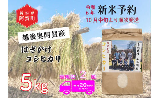 《令和6年産米》【定期便】2回　越後奥阿賀産はざがけ（天日干し）コシヒカリ　5kg（1袋）