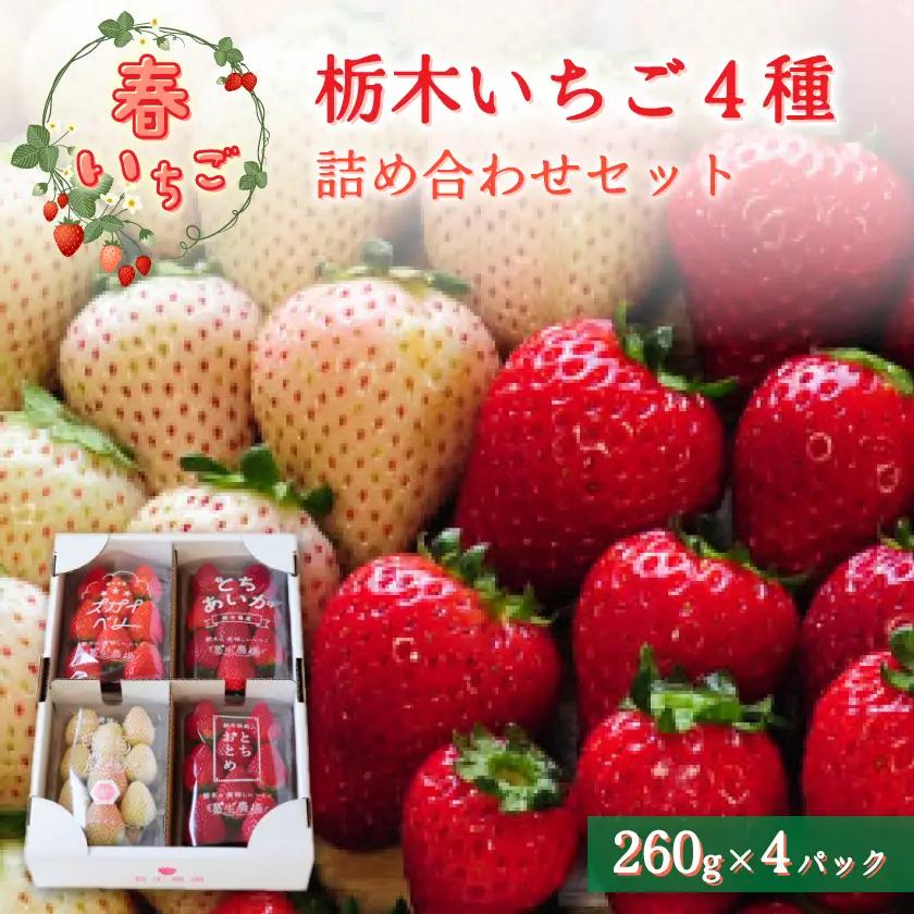 【春イチゴ】栃木いちご4種詰め合わせセット(260g×4パック)【配送不可地域：離島】【1663311】