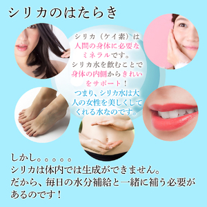 理想のシリカ 500ml × 48本 (1ケース24本入 × 2ケース)