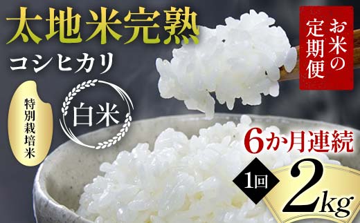 
            お米の定期便 特別栽培米 太地米完熟 【こしひかり】 白米2kg×6か月連続 ブランド米 お米 精米 白米 人気 F7X-0365
          