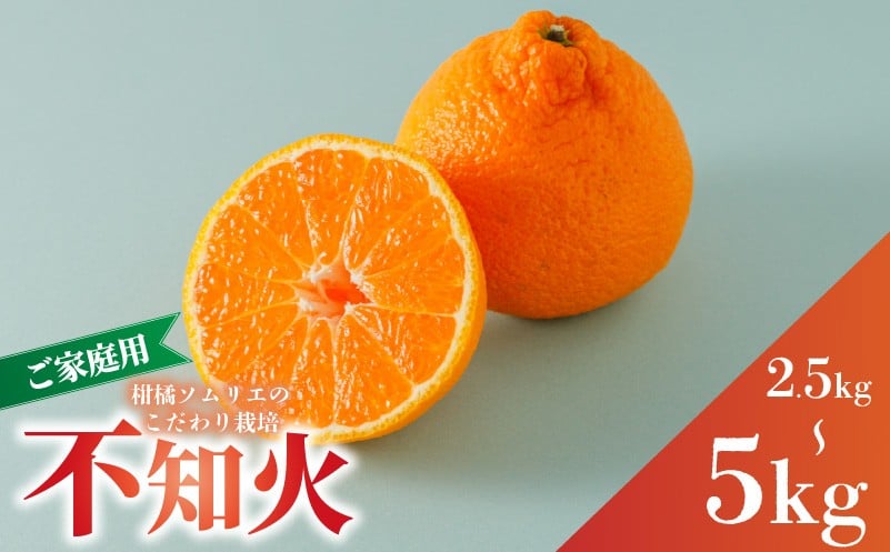 
                  【先行予約】 【2月下旬から発送予定】 不知火 B品 家庭用 約2.5kg / 約5kg  | デコポン でこぽん と同品種 しらぬい 愛媛産 愛媛県産 国産 愛媛みかん 愛媛蜜柑 愛媛ミカン みかん ミカン mikan 蜜柑 柑橘 フルーツ 果物 くだもの お取り寄せ 産地直送 数量限定 人気 おすすめ 愛媛県 松山市
                