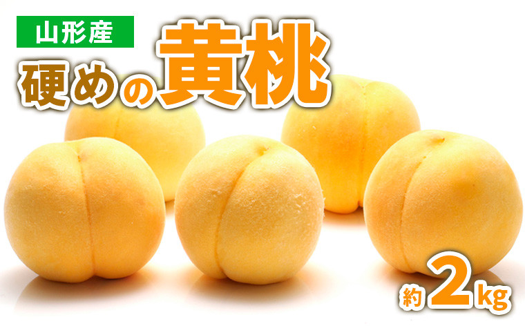 
                  山形産 硬めの黄桃　約２kg（4～9玉)秀品 【令和8年産先行予約】FS23-778 くだもの 果物 フルーツ 山形 山形県 山形市 2026年産
                