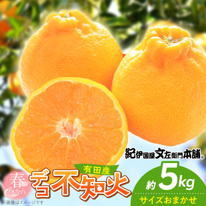 【ふるさと納税】【2027年先行予約】デコ 不知火 約5kg 和歌山県有田産 春みかん (果実サイズおまかせ) 春みかん 紀伊国屋文左衛門本舗