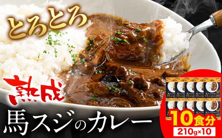 馬スジカレー 10食セット 馬肉 肉 馬スジ カレー《60日以内に出荷予定(土日祝除く)》株式会社千興ファーム 馬スジ カレー ---sn_fbsjikr_60d_24_17000_10set---