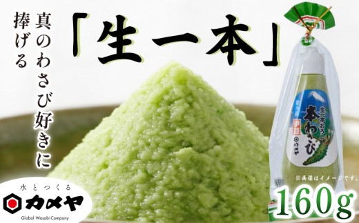 生一本おろし本わさび 1本 160g 大容量 山葵 ワサビ 本わさび わさび 調味料 わさびチューブ わさびおろし ごはん ごはんのお供 ご飯のお供 個包装  贈答 わさび屋 カメヤ食品株式会社 伊豆 静岡県 三島市
