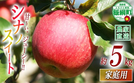 りんご シナノスイート 家庭用 5kg 丸山功農園 沖縄県への配送不可 2026年10月上旬頃から2026年11月上旬頃まで順次発送予定 令和8年度収穫分 信州 果物 フルーツ リンゴ 林檎 長野 予約 農家直送 長野県 飯綱町 [1173]