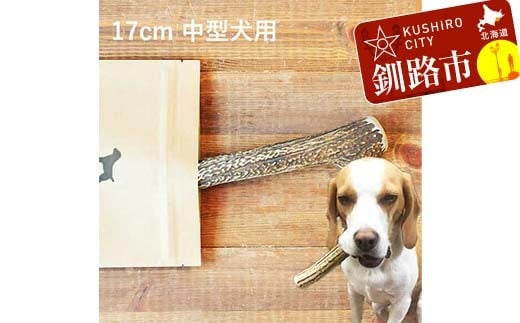 エゾ鹿の角ガム 17cm 中型犬用 北海道産 国産 無添加 犬用ガム 天然鹿角 長持ち デンタルケア ペット おやつ  F5F-0062