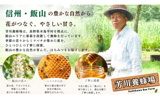 国産 天然 はちみつ 菜の花蜜 500g 1瓶 芳川養蜂場｜長野県 飯山市 信州 蜂蜜 ハチミツ ハニー 無添加 ギフト 菜の花 野沢菜（Da-005）