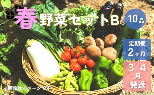 【予約受付/2025年3・4月発送】春野菜セットB 10品 以上【 2ヶ月 定期便 】 季節 旬 春 野菜 葉物 果菜 根菜 冷蔵 野菜室 ダイエット 食 栄養食 加工品 岩手県産 北上産 季節限定 稀少 数量限定 タラの うど こごみ うるい アスパラガス カラー 人参 菜花 ほうれん草 小松菜 チンゲン菜 長ねぎ レタス リーフレタス 水菜 ブロッコリー きゅうり ベビーリーフ