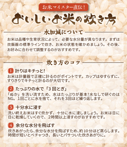 人気沸騰の米 令和7年産 岩手県奥州市産ひとめぼれ 玄米 10kg [AC021]