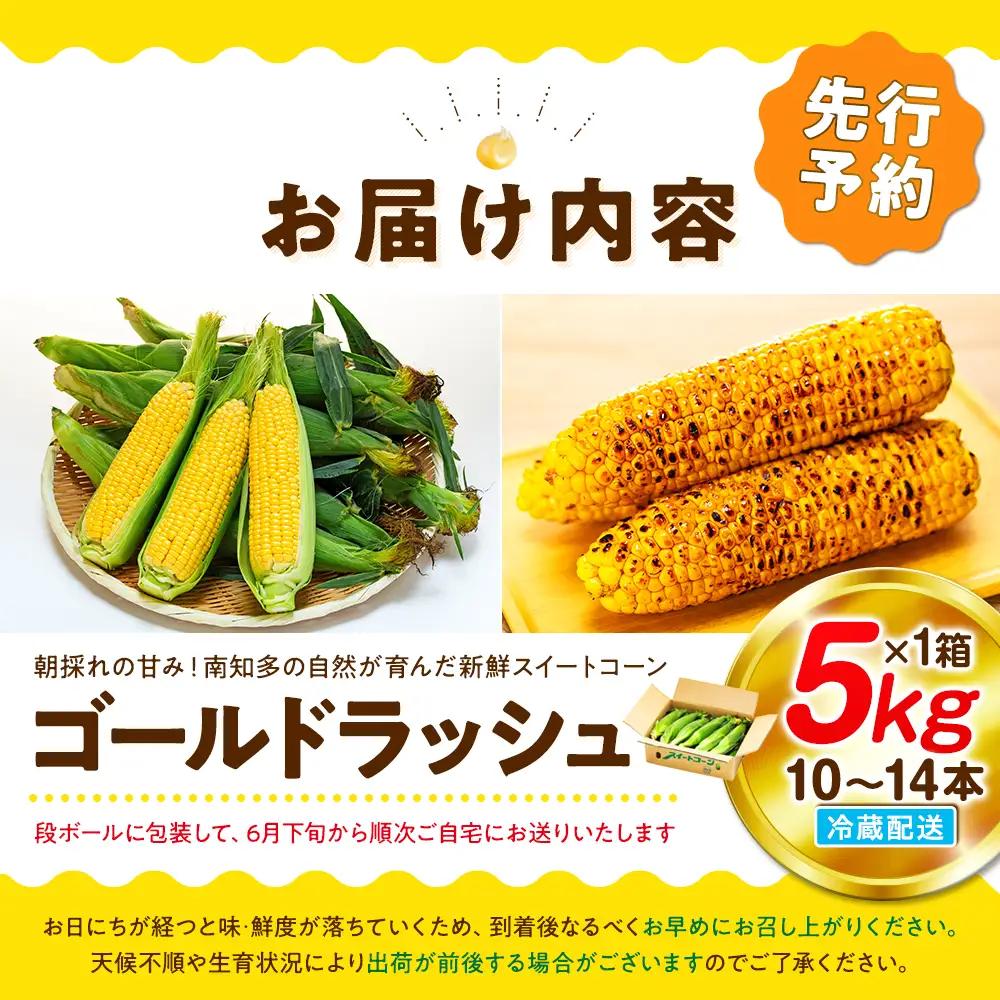 【2027年先行予約 6月下旬から出荷】 スイートコーン 約5kg 10-14本 冷蔵 国産 先行予約 数量限定 コーン 野菜 新鮮 焼き 蒸し 産地 直送 甘い 甘口 子ども 子供 小分け 種子 肥