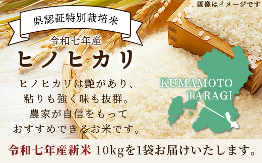 【令和7年 新米予約】特別栽培米「ヒノヒカリ」10kg 精米 井上農園 10月より順次出荷 熊本県 お米 白 米 精米 ひのひかり 国産 114-0601