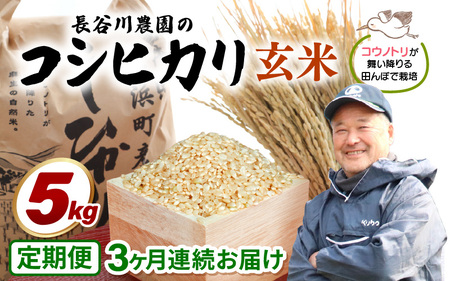 【令和7年産】定期便 ≪3ヶ月連続お届け≫長谷川農園の コシヒカリ 玄米 5kg × 3回 (計15kg) 【 こしひかり 5キロ 玄米 】 [m22-c003]