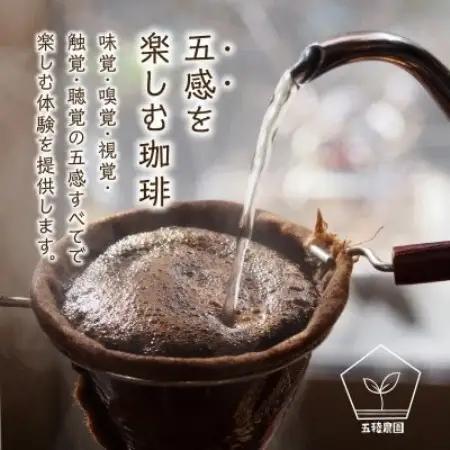 五稜農園自家焙煎 グアテマラコーヒー豆100g×5袋セット 香り豊かな本格珈琲【1747886】