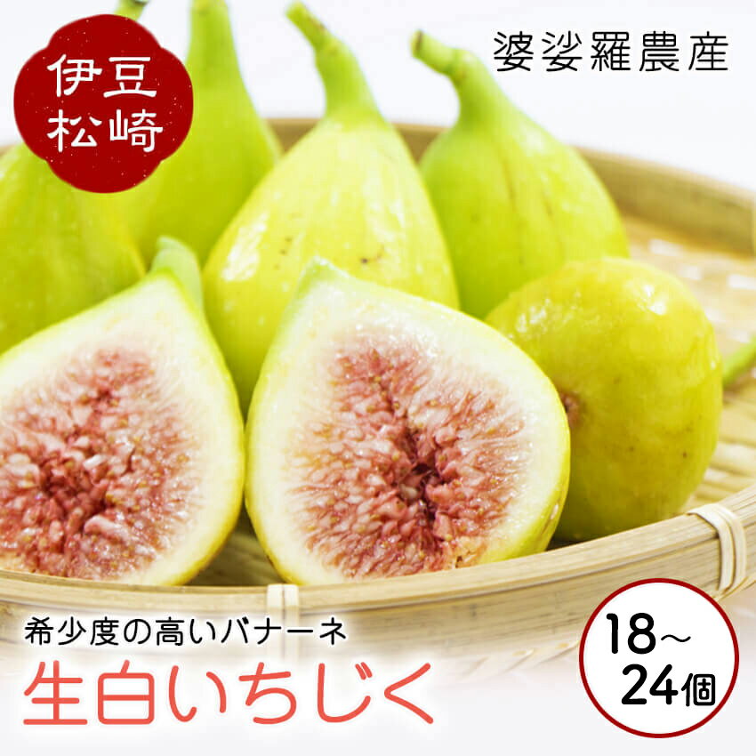【ふるさと納税】婆娑羅農産 生白いちじく バナーネ いちじく イチジク 無花果