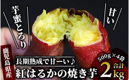 
【鹿児島県産 さつま芋】芋蜜とろり 紅はるかの冷凍焼き芋 2kg(500g×4袋)(中園久太郎商店/010-430) サツマイモ 薩摩芋 焼芋 やきいも 焼きいも スイーツ おやつ デザート
