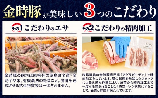 ＜徳島県 上板町＞ 阿波の金時豚 4種 詰合せ 計960g 《30日以内に出荷予定(土日祝除く)》 ローススライス 豚バラ スライス 豚モモ切り落とし 豚小間切れ 冷凍 小分け ブランド豚 国産 豚肉