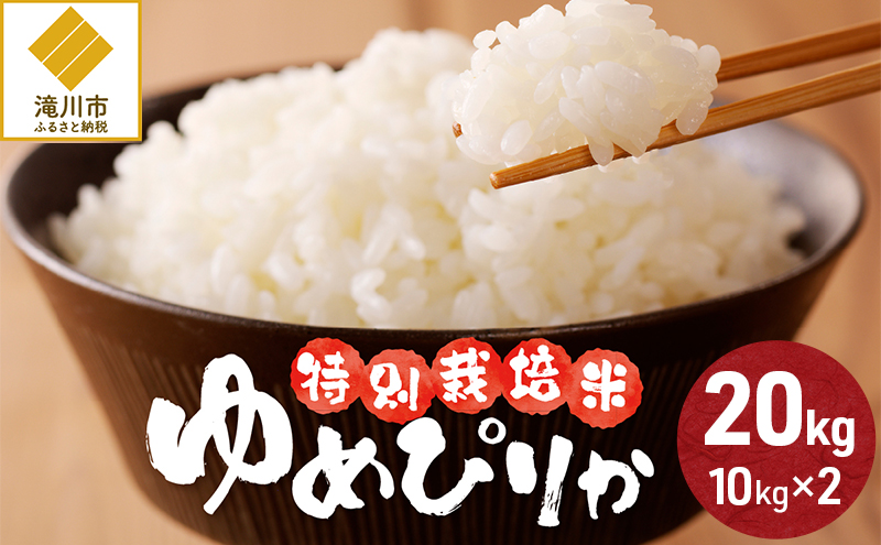 【入金確認後、最短7日発送】令和6年産米 北海道滝川産　特別栽培ゆめぴりか 20kg(10kg×2袋) ※10月中旬・新米からお届け｜北海道 滝川市 米 お米 白米 ご飯 ゆめぴりか ユメピリカ 特別栽培米 特別栽培 新米