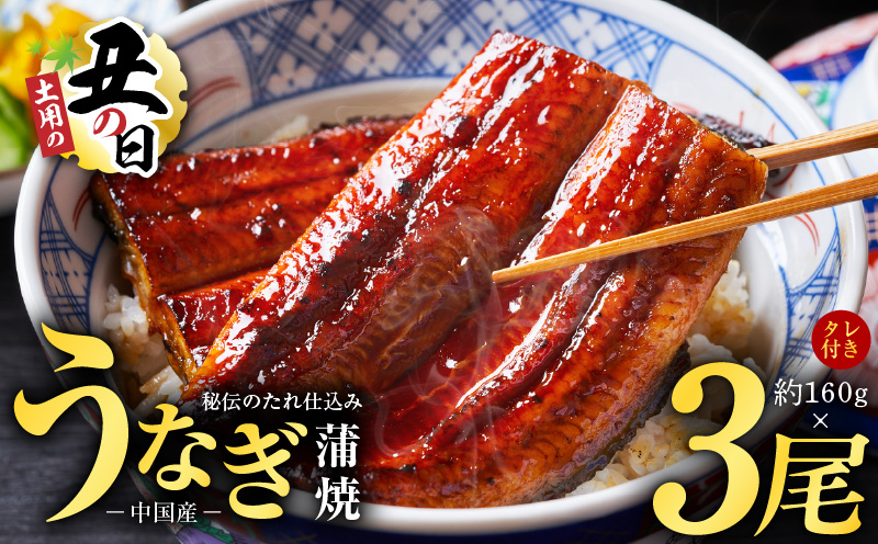 【土用の丑の日までにお届け】うなぎ蒲焼 合計480g【約160g×3尾 特製タレ付 鰻 ウナギ 中国産 レンジ 温めるだけ 簡単調理 ふわふわ 炭火焼き 備長炭 手焼き】