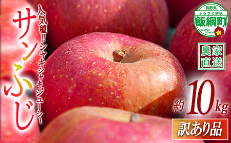 りんご サンふじ 訳あり 10kg 関農園 2026年12月上旬頃から2026年12月下旬頃まで順次発送予定 エコファーマー認定 令和8年度収穫分 傷 不揃い リンゴ 林檎 果物 フルーツ 信州 長野 予約 農家直送 長野県 飯綱町 [1094]