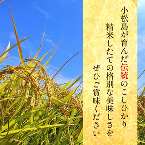 こしひかり 5kg 白米 令和7年産 潮風米 こしひかり 徳島 小松島