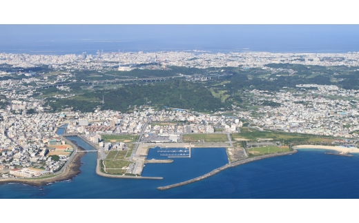 ＜2027年7月中旬より順次発送＞瀬底さんの贈答用アップルマンゴー2kg(4～5玉)【1778664】