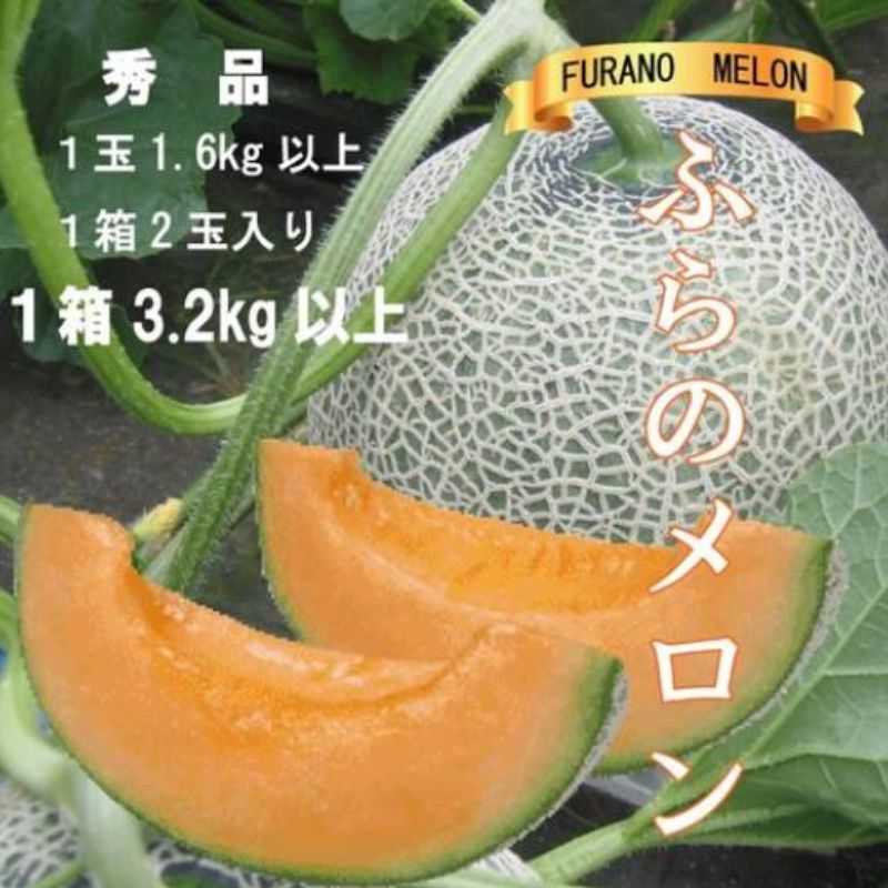 2026年夏発送【先行受付】ふらのメロン 赤肉 秀品2玉［1玉1.6kg以上］計3.2kg以上 富良野メロン 赤肉 北海道 甘い 大きい 果物 フルーツ