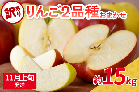 【2025年11月上旬発送】 【訳あり】旬の美味しいりんご 約15kg 青森産 【おまかせ2品種】