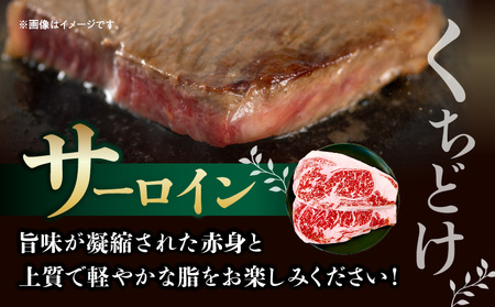 宮崎ハーブ牛サーロインステーキ 合計600g 宮崎牛 ハーブ ステーキ