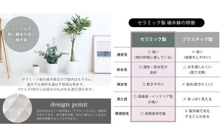 植木鉢 Φ14 crescere クレッシェル 選べるカラー セラミック フラワーポット プランター 鉢 受け皿 サボテン ミニ観葉植物 おしゃれ くすみカラー ガーデニング用品 ガーデニング 園芸 