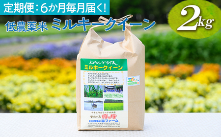 【定期便】【新米】6か月毎月届く！低農薬米ミルキークイーン2kg | 米 こめ コメ ご飯 玄米 単一米 国産 茨城県産 ※2026年9月～発送 _BI95