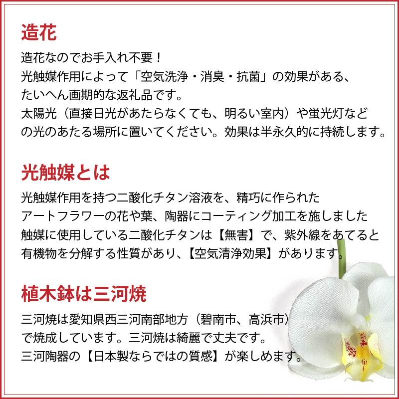 綺麗で丈夫な三河陶器で贈る 光触媒胡蝶蘭小輪３本立（白の陶器×白桃色の花）　H100-083