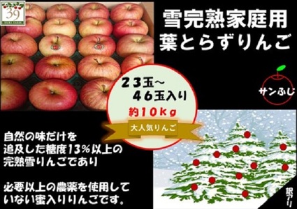 りんご 【 数量限定 】12月発送 訳あり 蜜入り 糖度13度以上 家庭用 雪完熟 葉とらずサンふじ 約 10kg 23～46個【 弘前市産 青森りんご  果物類 林檎 リンゴ  】