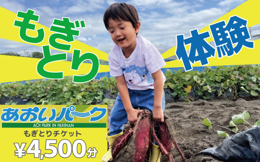 
【旬のお野菜・もぎとり体験チケット 4,500円分】何名様でもご利用可能！ 野菜 農業体験 収穫 畑 農園 チケット 体験 プレゼント H025-011
