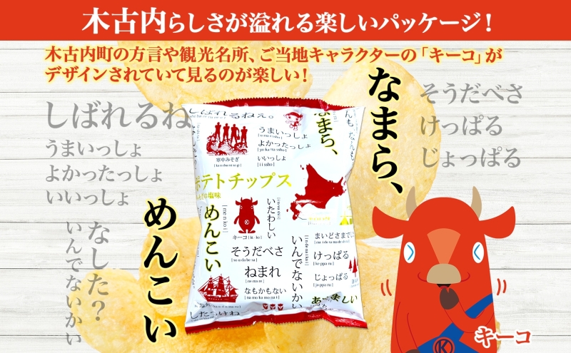 定期便 全12 回北海道 オリジナル ポテトチップス 60g 6袋 塩味 道の駅 オリジナル パッケージ ポテチ しお じゃがいも ジャガイモ お菓子 スナック おやつ おつまみ あっさり ポテトチッ