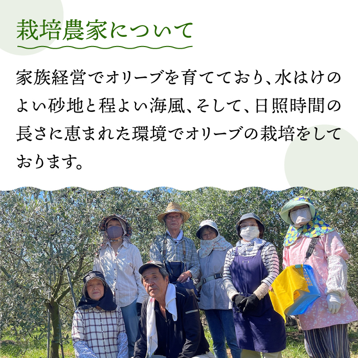 【3回定期便】 原城 オリーブ エクストラ・ヴァージンオイル  100ml 3本 / オリーブオイル オイル 油 調味料 / 南島原市 / ミナサポ [SCW057]_イメージ5