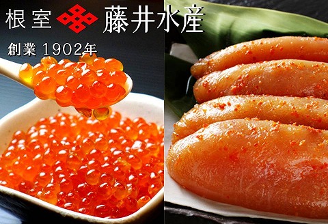 【北海道根室産】＜鮭匠ふじい＞いくら醤油漬400g・辛子明太子400g C-42069